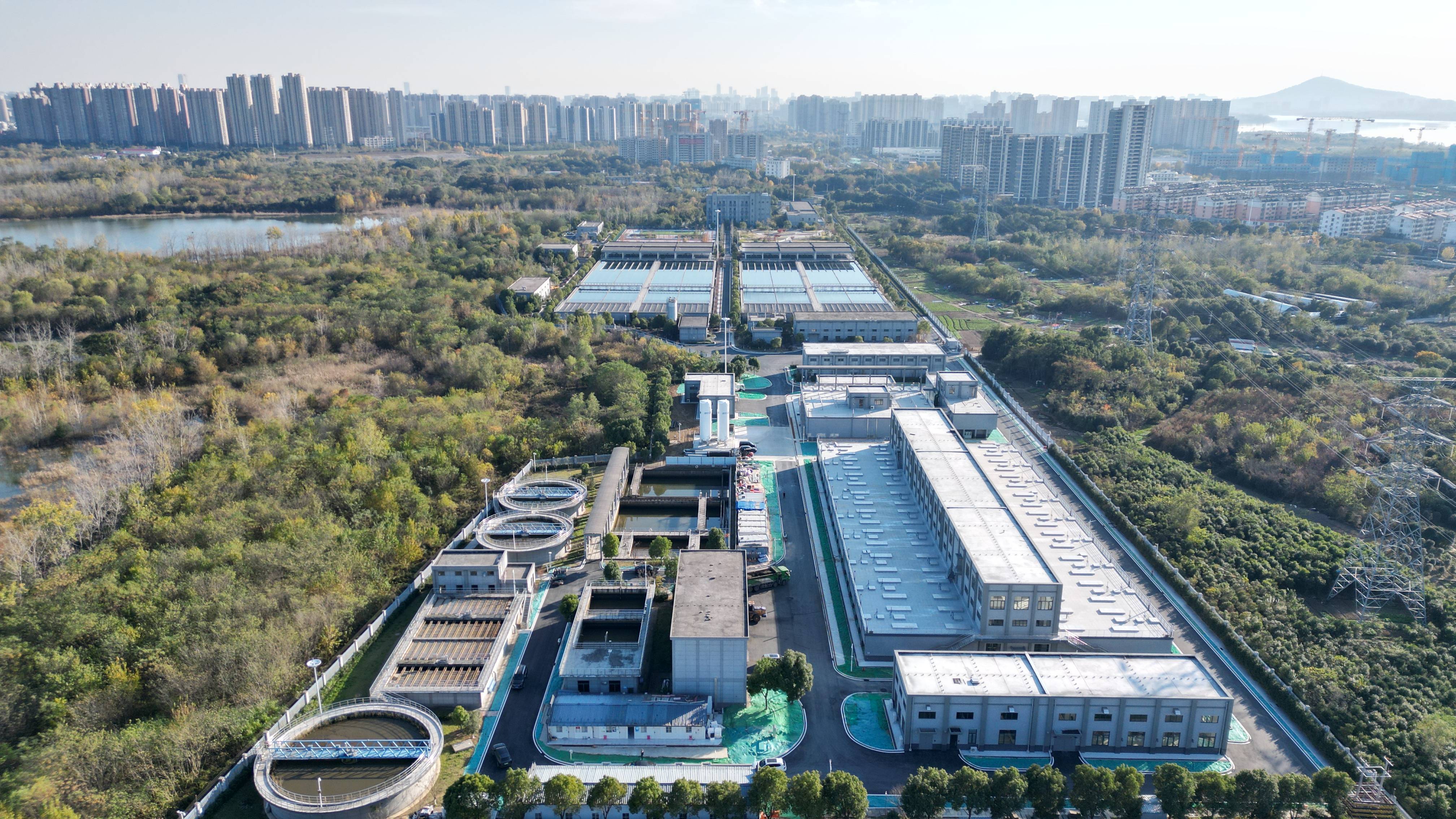 普洱市合肥专业企业价值增长(合肥市重点企业产业目录)