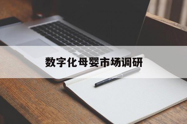 普洱市数字化母婴市场调研(数字化母婴市场调研报告)
